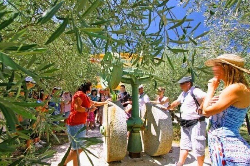 A group of people interacting with a large, green, mechanical structure in a garden with tall plants. 1