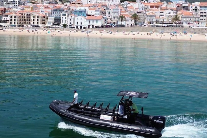 A speedboat with a person standing at the back, moving on a calm sea with a beach and buildings in the background. 3