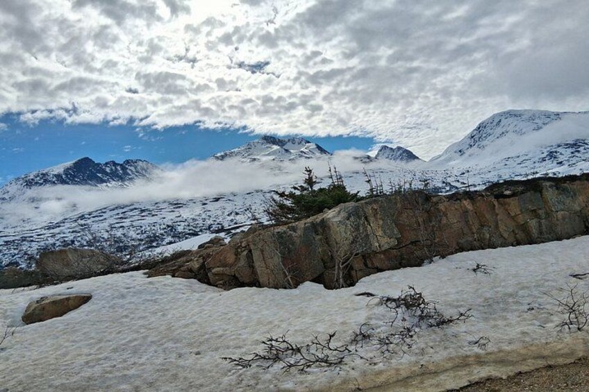 Yukon Suspension Bridge Tour from Skagway 2