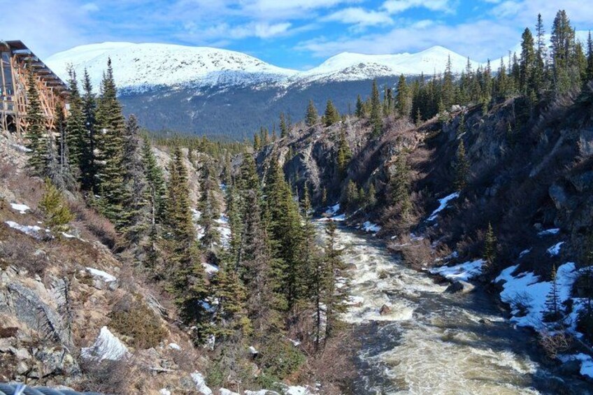 A river flowing through a mountainous area with snow-capped peaks in the background and dense evergreen trees. 5