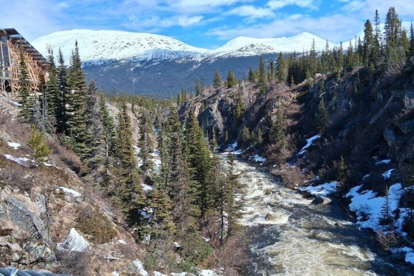 Yukon Suspension Bridge Tour from Skagway 4