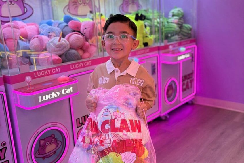 Ultimate Claw Experience at Claw Arcade 3
