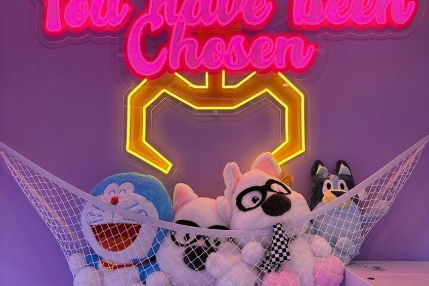 Ultimate Claw Experience at Claw Arcade 3