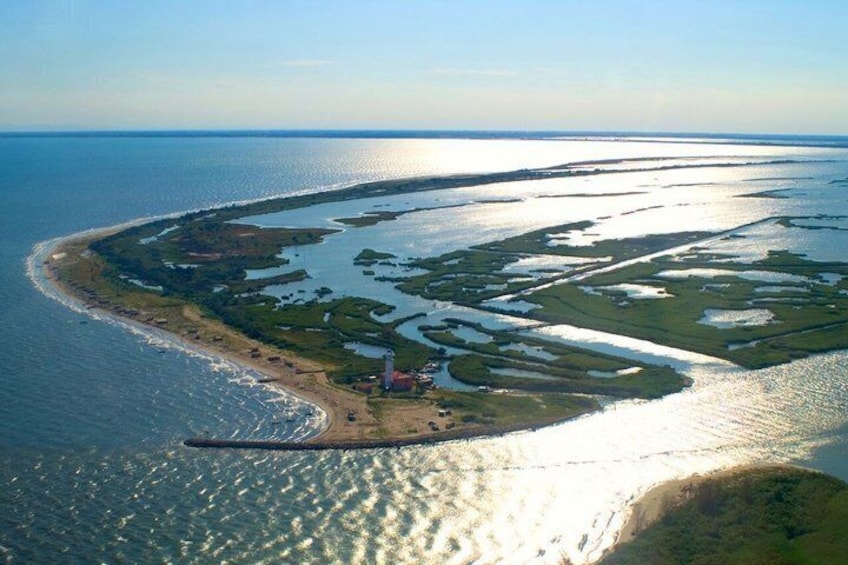 Explore Isola dell’Amore and wildlife on a Po Delta Boat Tour 3