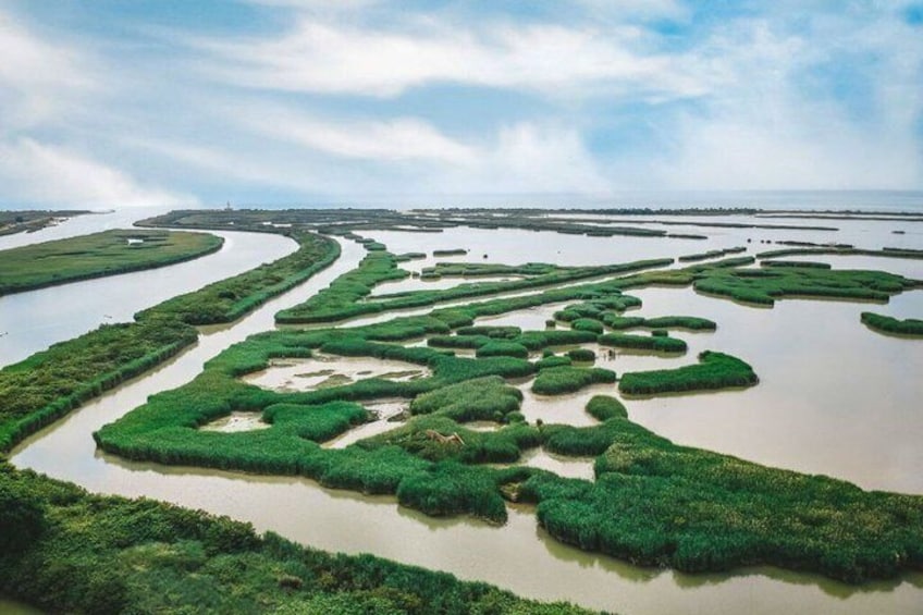 Explore Isola dell’Amore and wildlife on a Po Delta Boat Tour 4