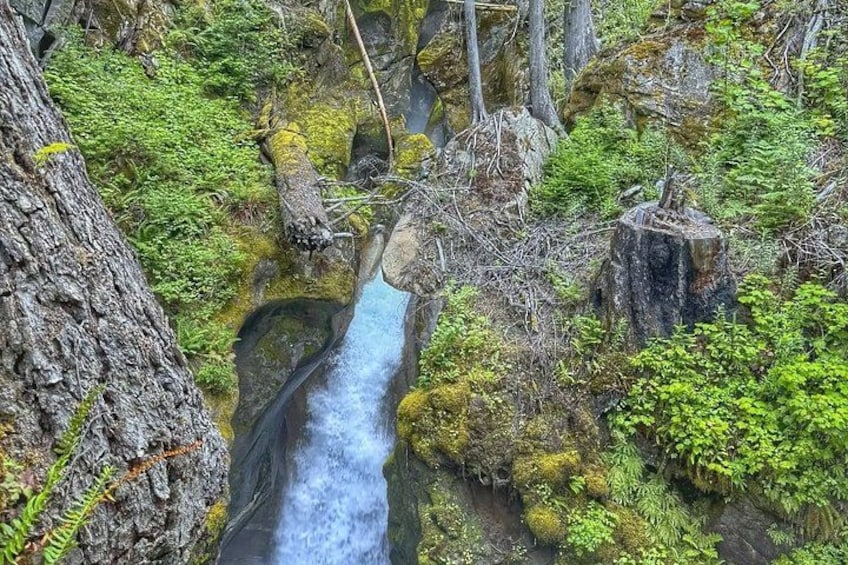 Ein Wasserfall, umgeben von üppiger Vegetation und felsigem Gelände. 5
