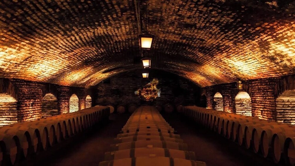 Santiago: Tour y Degustación Viña Concha y Toro 5