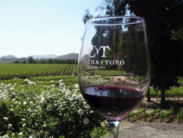 Santiago: Tour y Degustación Viña Concha y Toro 1