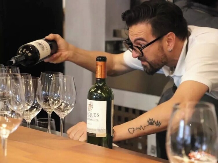 Santiago: Tour y Degustación Viña Concha y Toro 2