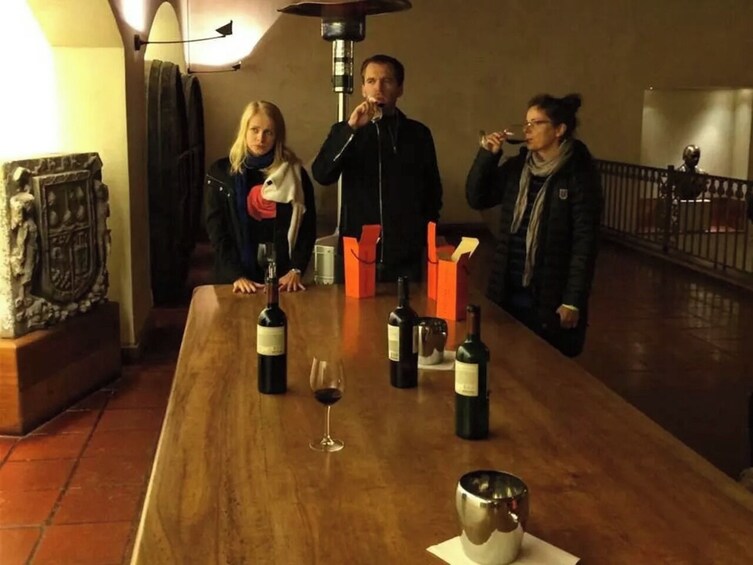 Santiago: Tour y Degustación Viña Concha y Toro 3