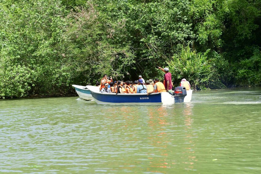 A boat with passengers on a river surrounded by dense greenery. 4