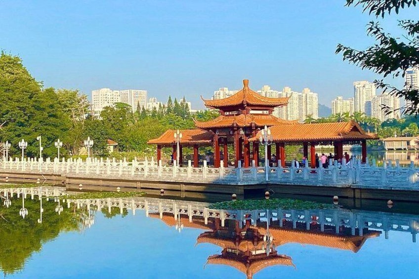 Hong Kong to Shenzhen Full-Day Tour | Train & Dim Sum with Lunch 1