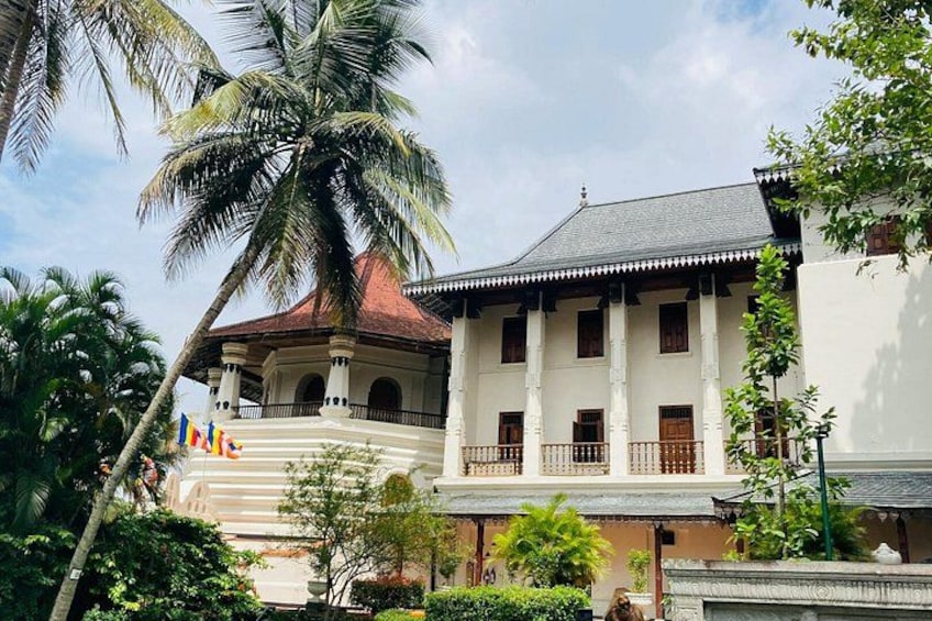 A traditional building with a red roof and white walls, surrounded by palm trees and greenery. 4