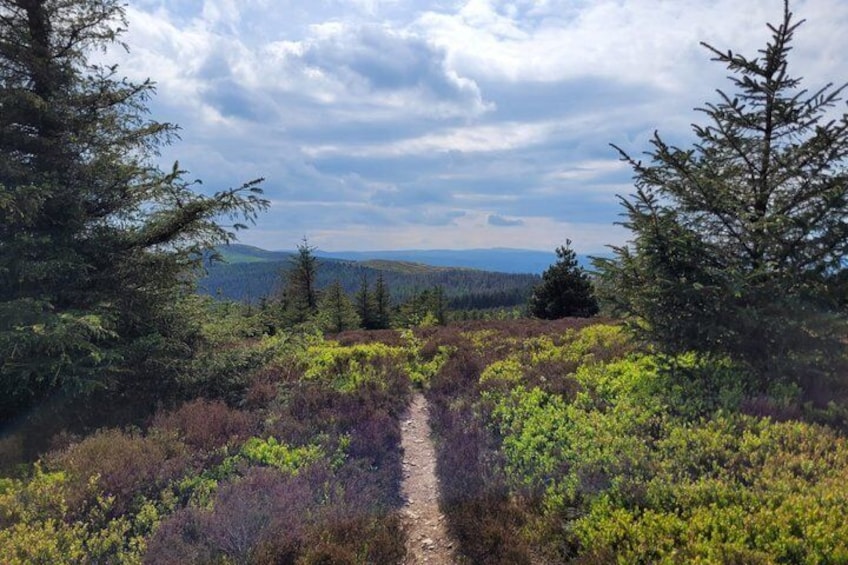 Manchester: North Wales - Hiking, Waterfalls & Stunning Scenery 1