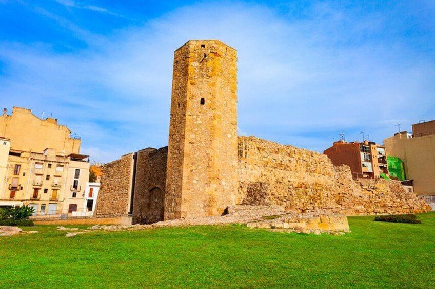 Private Shore Tour: Tarragona Roman Heritage & City 2