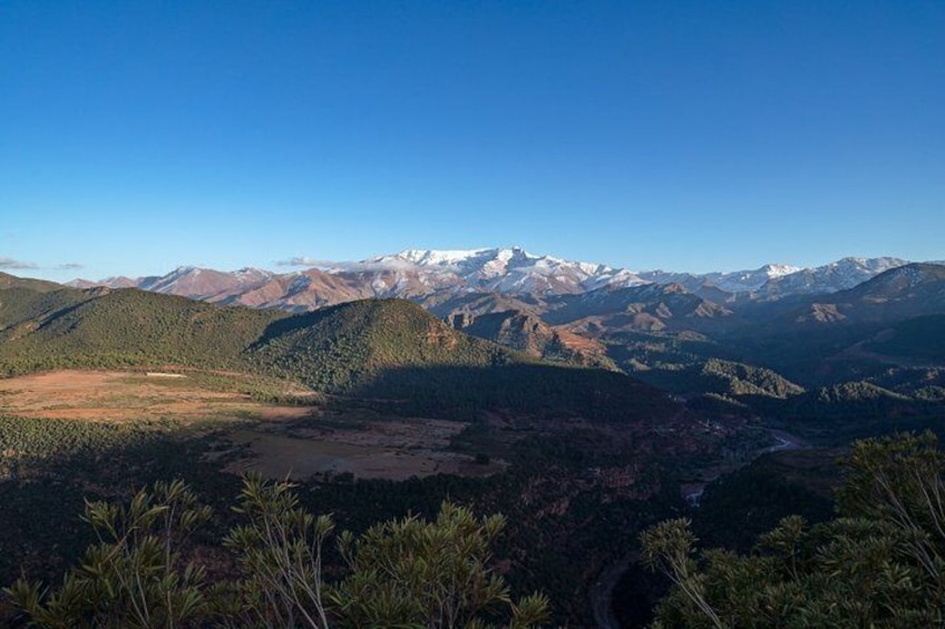 Un paysage montagneux avec des sommets enneigés, de vastes zones boisées et un ciel dégagé. 5