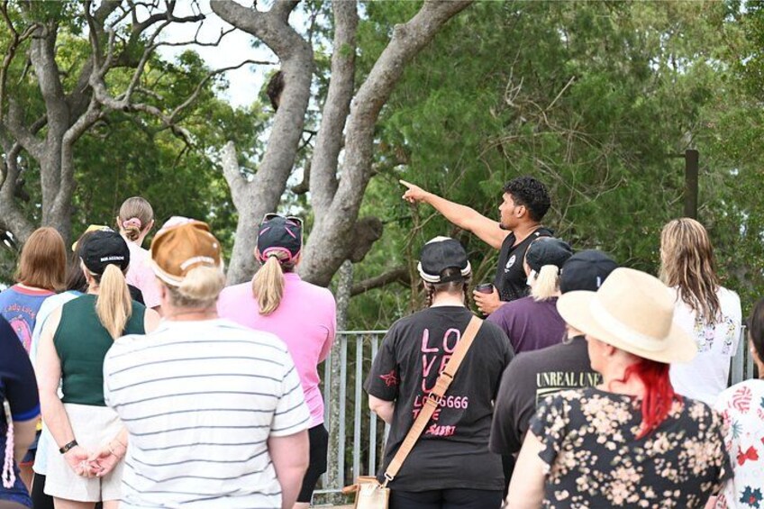 BUshtucker Tour 5