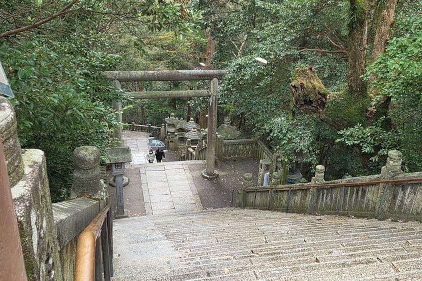 A stone pathway leading through a forested area with a traditional gate and stone lanterns. 5
