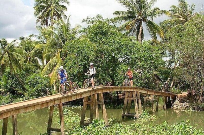 Three cyclists on a wooden bridge over a body of water, surrounded by lush greenery and palm trees. 3