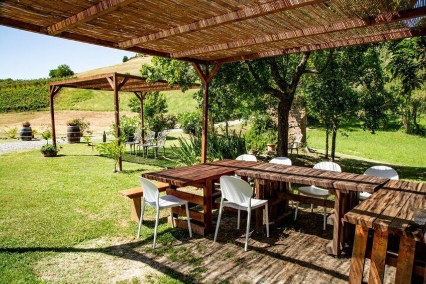 Wine Tasting In A Beautiful Tuscan Villa 4