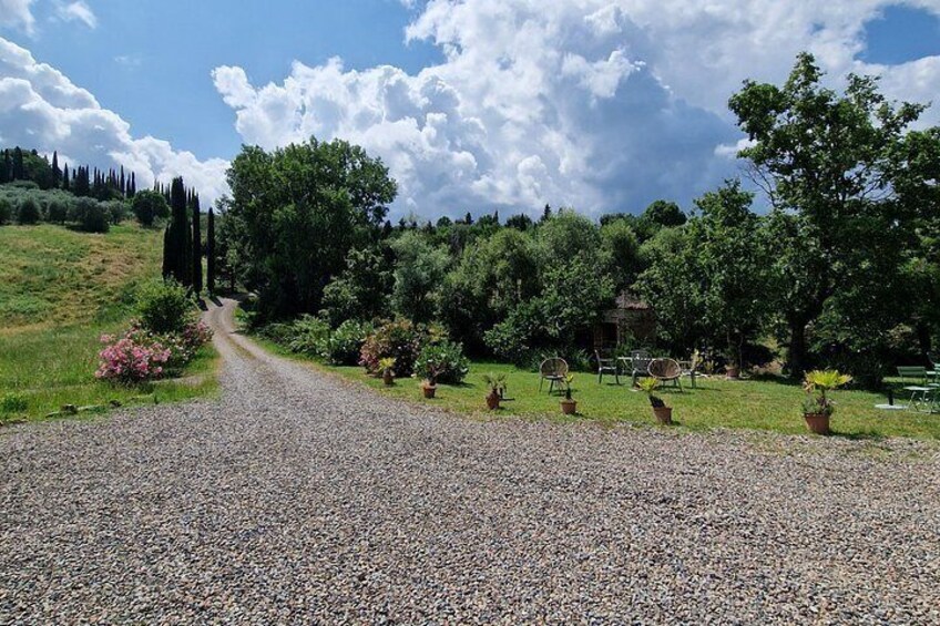 Wine Tasting In A Beautiful Tuscan Villa 1