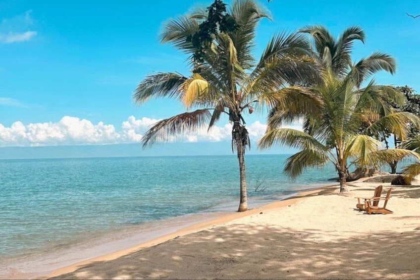 Een strand met palmbomen en een helderblauwe lucht. 5