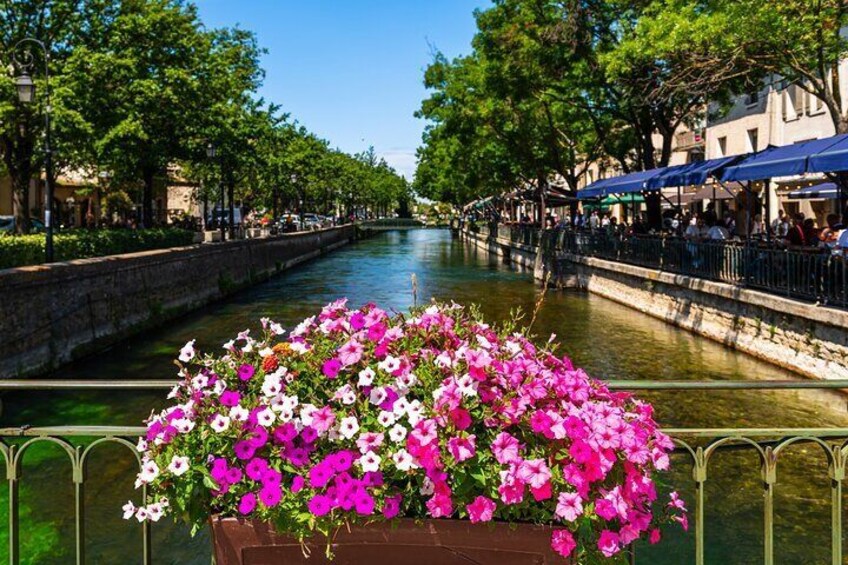 A canal with a flower bed in the foreground and a row of buildings along the water. 5