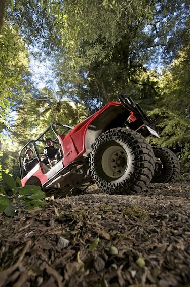 A red off-road vehicle with large tires on a forest trail. 4
