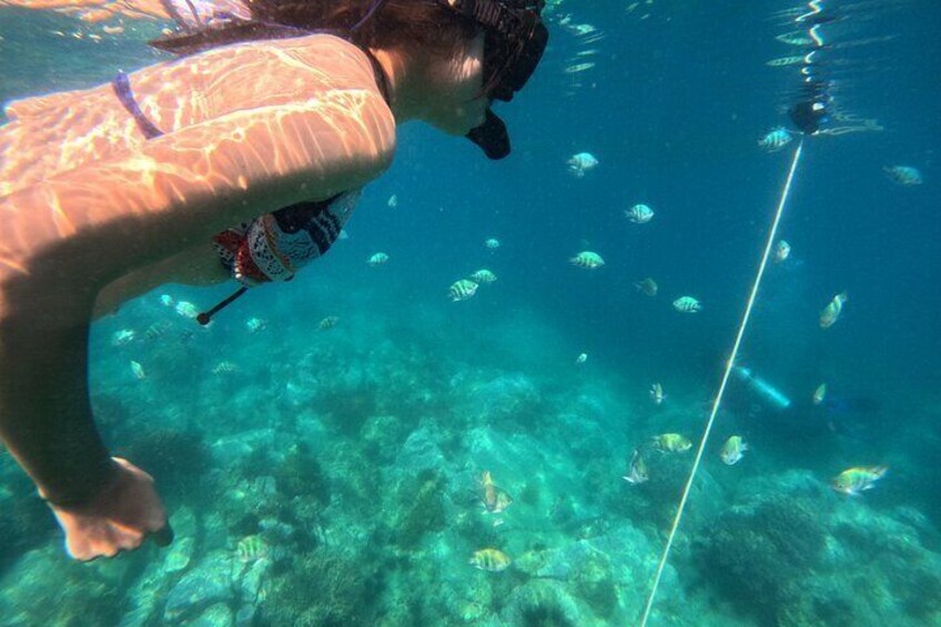 Eine Person schnorchelt unter Wasser, umgeben von Fischen. 5