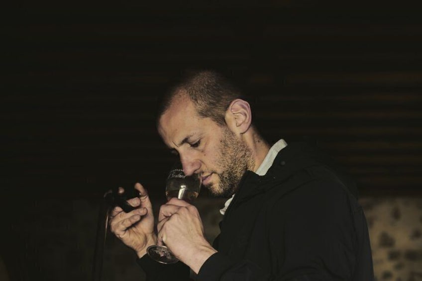 A person holding a wine glass. 5
