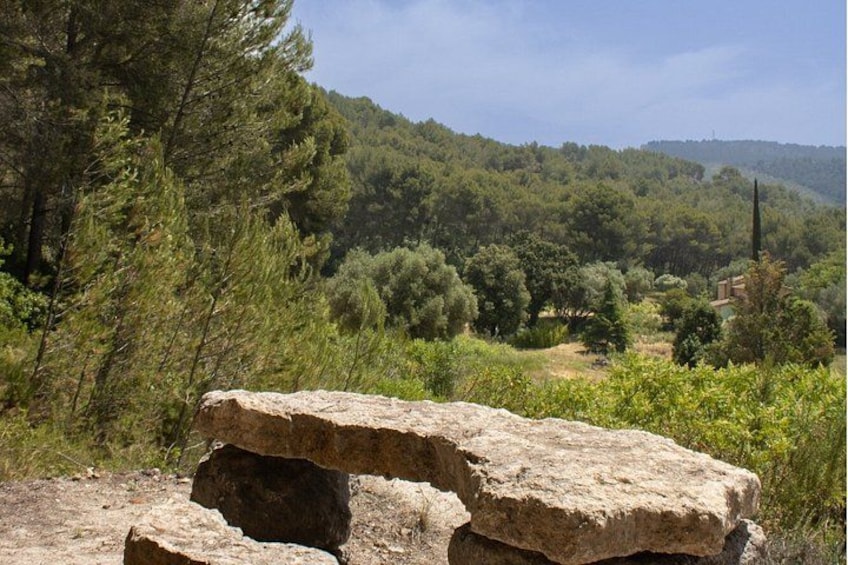 A stone structure in a forested area with a hill in the background. 5