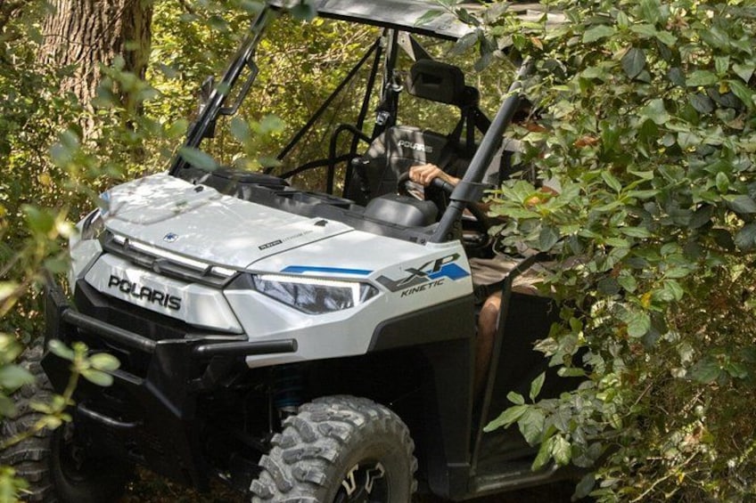 A Polaris XP vehicle in a wooded area. 4