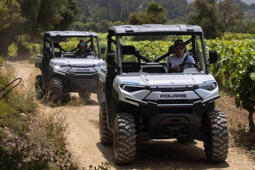 Two Polaris off-road vehicles on a dirt path in a vineyard. 1