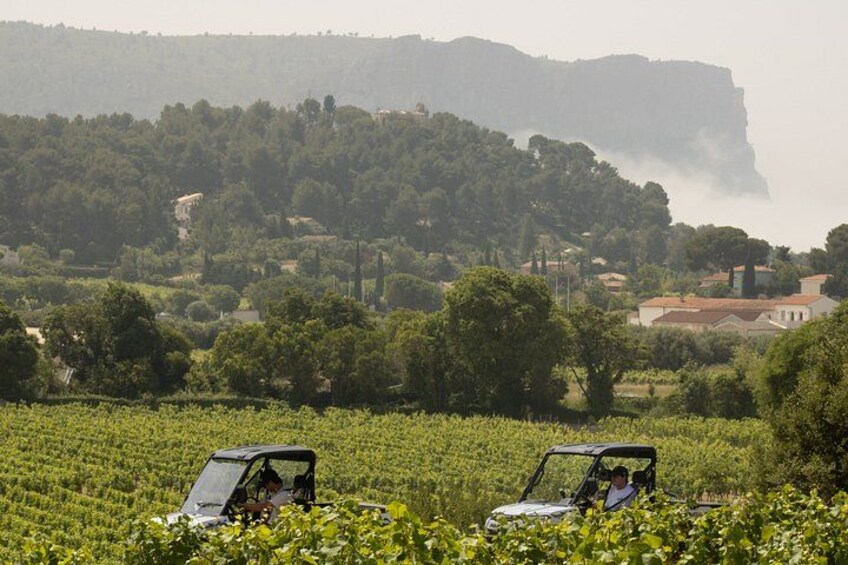 Two vehicles on a vineyard with a mountainous backdrop. 1