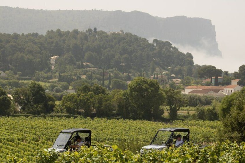 A vineyard with two vehicles parked amidst the rows of grapevines, overlooking a hilly landscape with buildings and a prominent cliff. 1