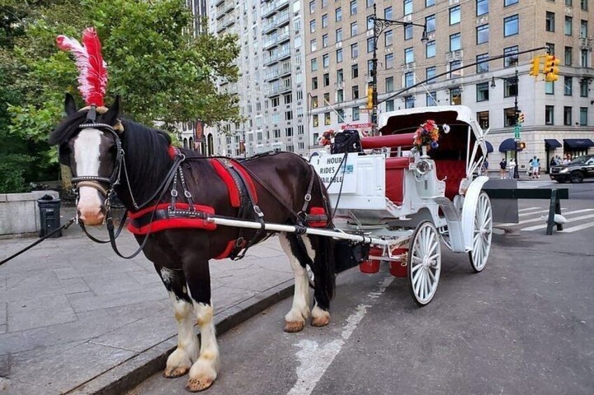 Private Guided Horse Drawn Carriage Rides Through Central Park 2