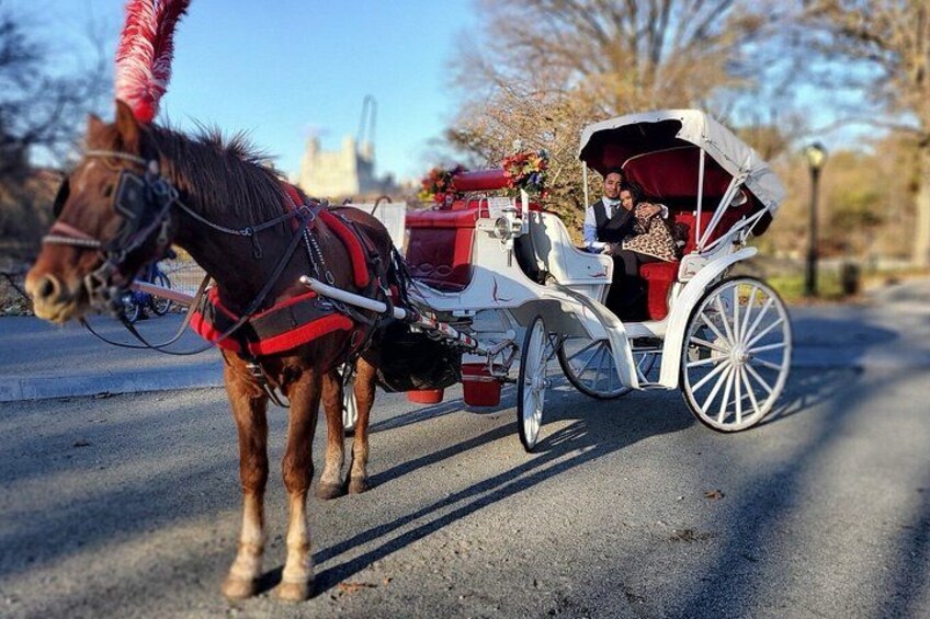 Private Guided Horse Drawn Carriage Rides Through Central Park 3