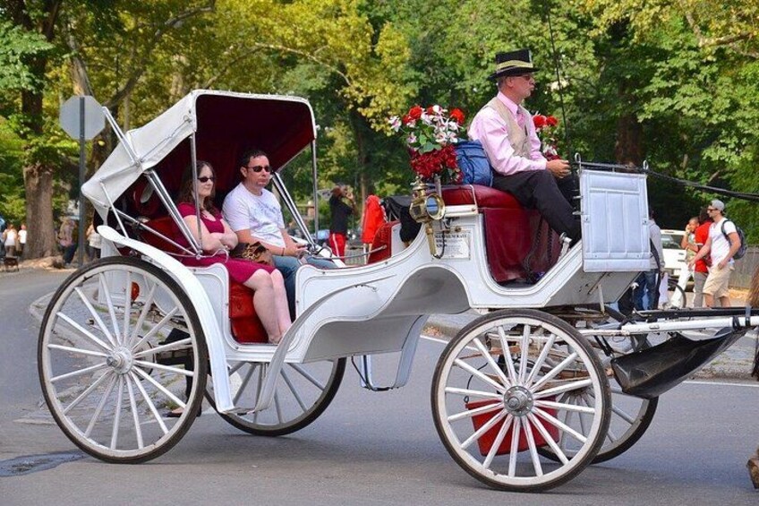Private Guided Horse Drawn Carriage Rides Through Central Park 4