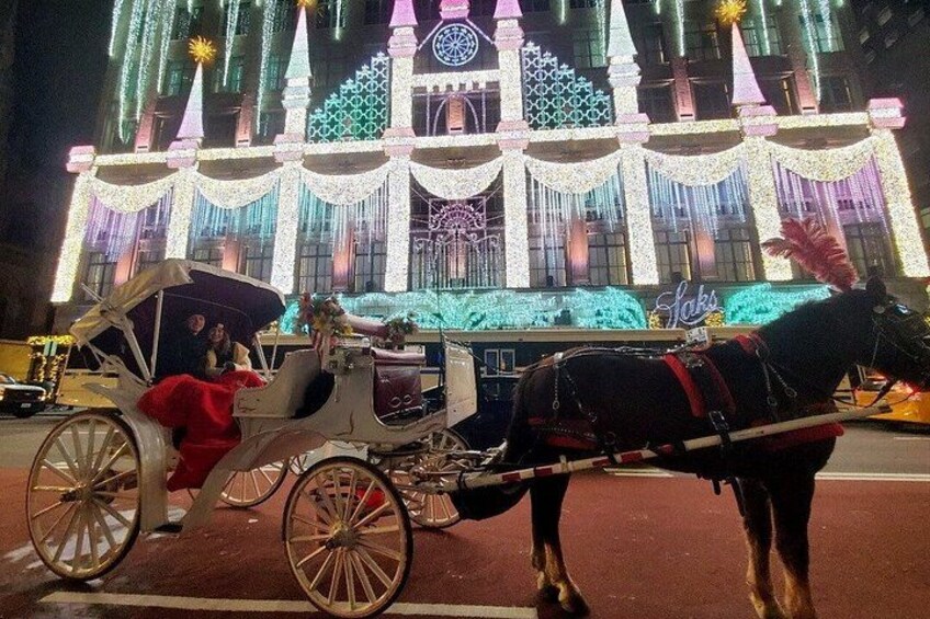 Private Guided Horse Drawn Carriage Rides Through Central Park 5