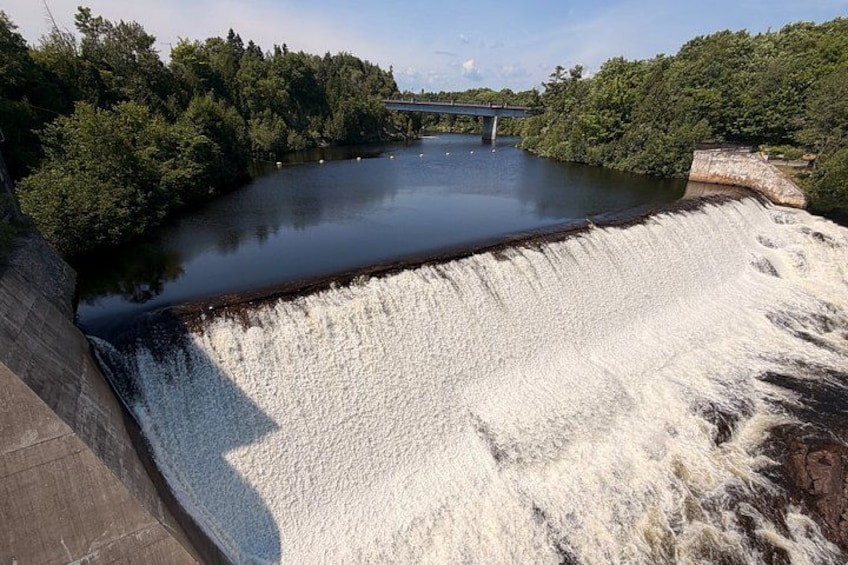 A dam releasing water, a bridge, and dense greenery. 2
