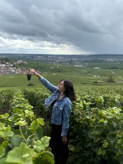 A person harvesting grapes in a vineyard with a cloudy sky in the background. 1