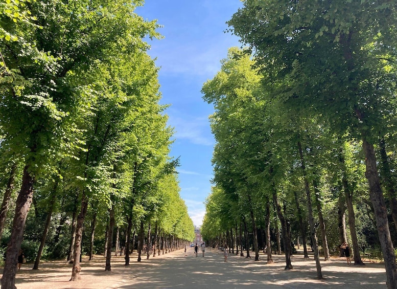 A tree-lined avenue with people walking. 4