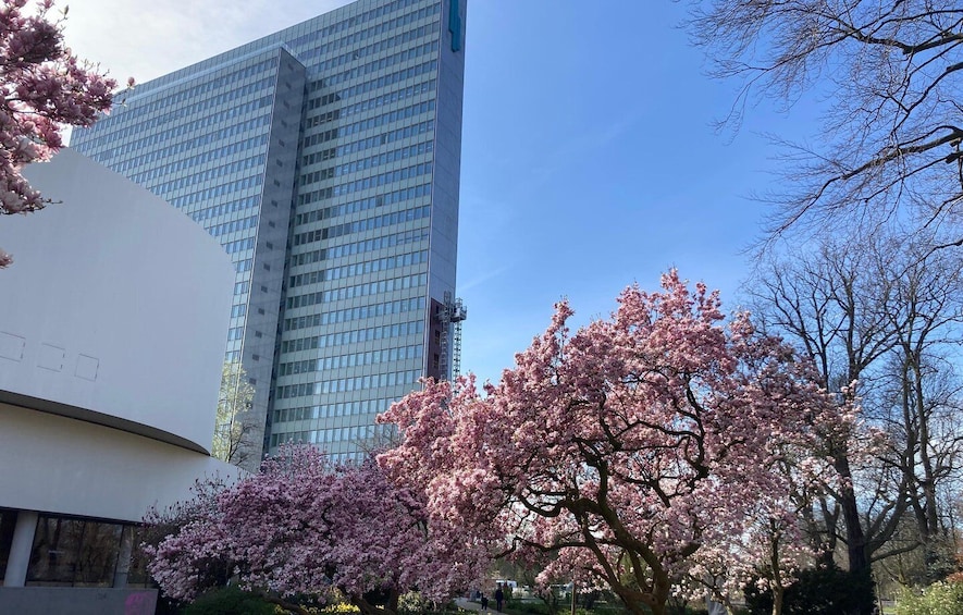 A modern building with a glass facade, cherry blossom trees in full bloom, and a clear blue sky. 3