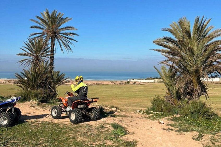A person on an ATV near palm trees by a beach. 4