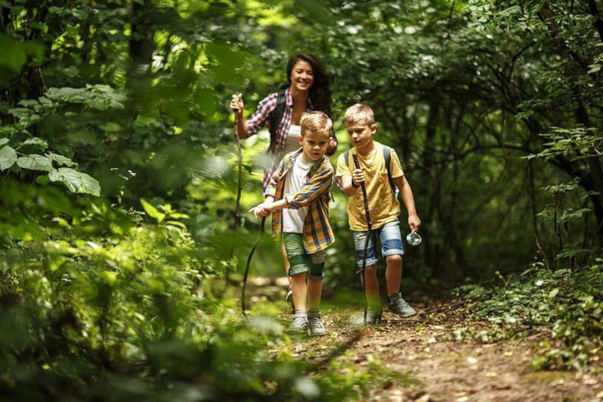 Forest Wildlife Park Hiking Tour from Hofstetten 1
