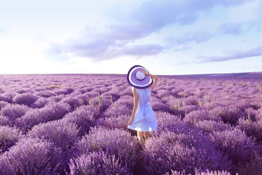 A woman in a white dress walking through a field of purple flowers. 5
