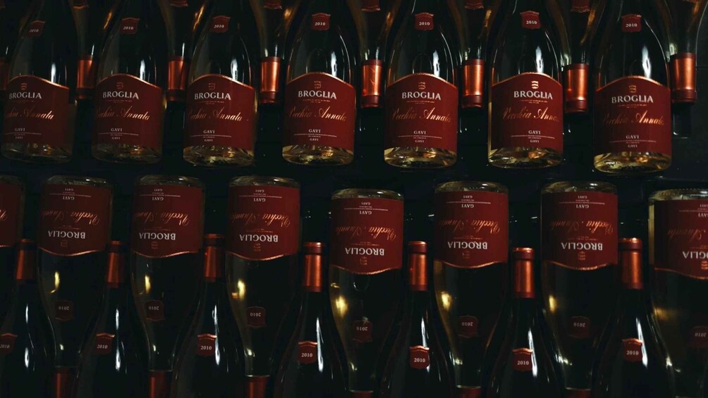 Rows of wine bottles with labels indicating 'BROGLIA' and 'GAVI' from 2010. 2