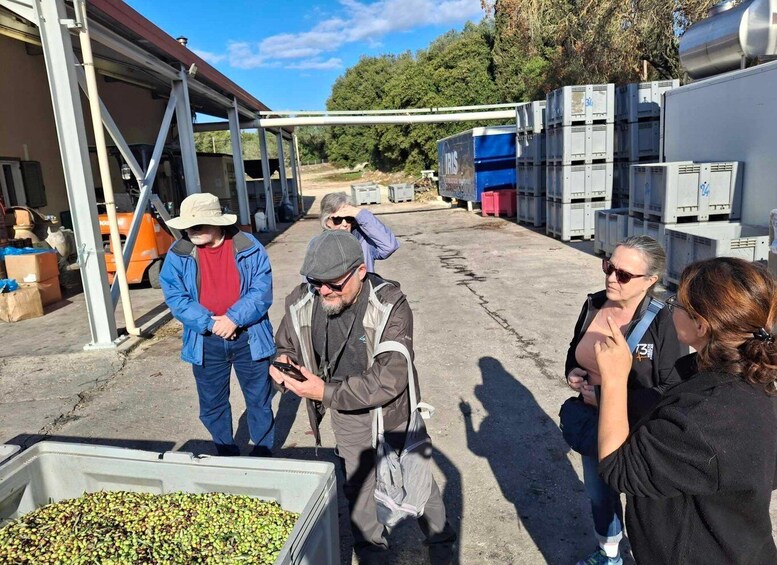 A group of people standing around a large container filled with green olives, with industrial equipment and storage units in the background. 3