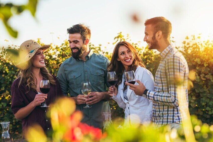 A group of people toasting with wine glasses in a vineyard. 4