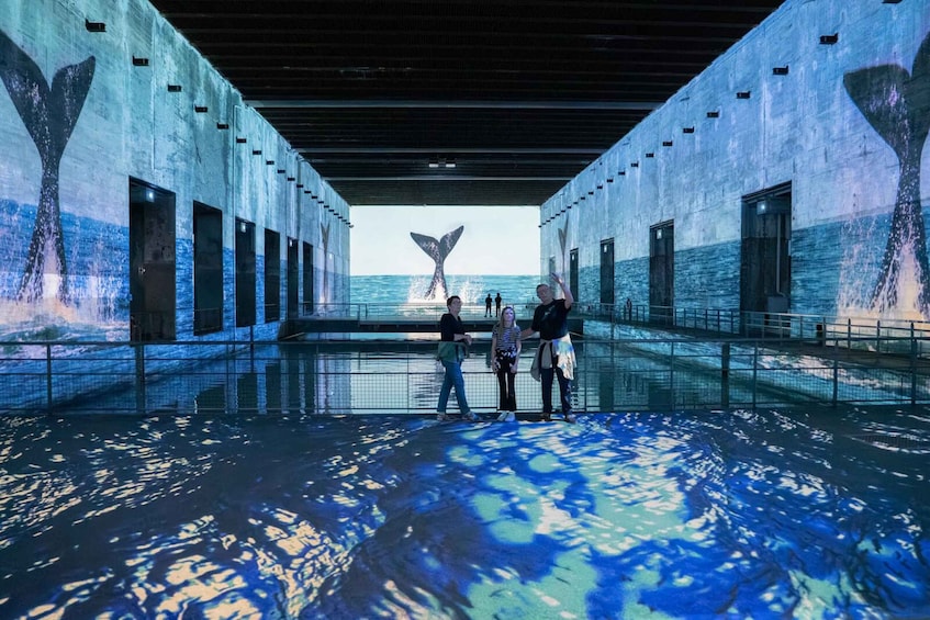 A large indoor aquarium with whale tail murals, a viewing area, and a whale tail sculpture. 3